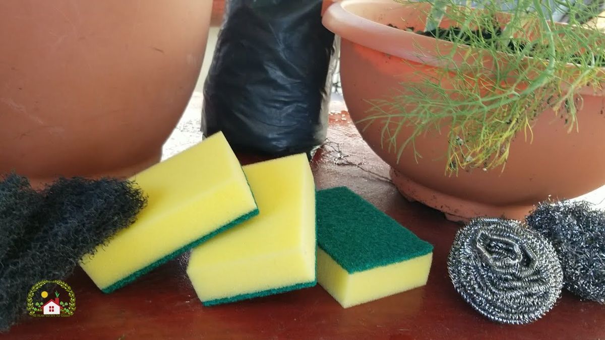 Las plantas de tu jard&iacute;n pueden lucir mejor gracias a las esponjas viejas.&nbsp;