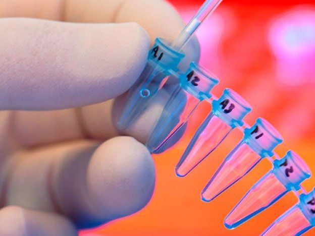 Descubrieron un antibiótico que elimina bacterias sin desarrollar resistencia