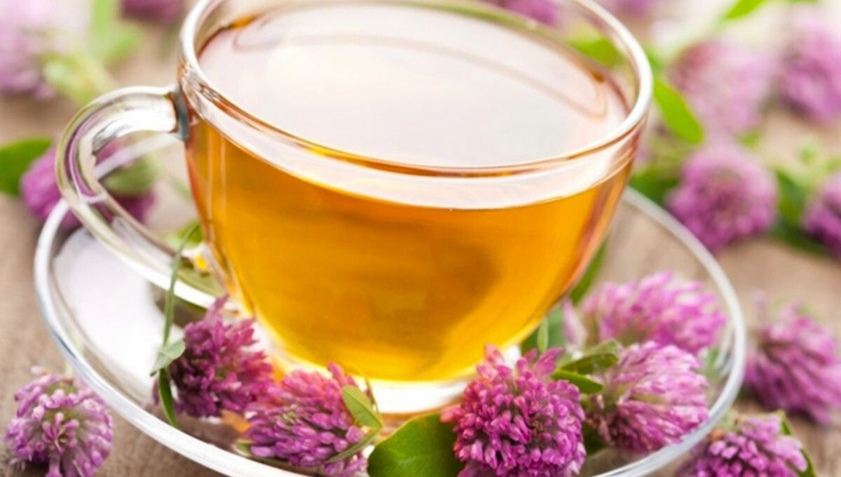 Barato e ideal para ayudarte a dormir: cómo preparar el té de valeriana