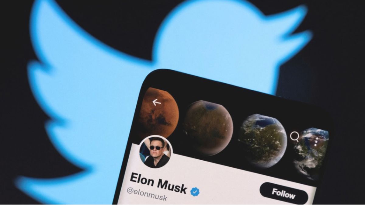 Elon Musk tiene más de 85 millones de seguidores en Twitter, varios de los cuales dicen que son cuentas falsas.