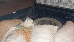 Recuperaron 200 kilos de nueces sustraídas en Tupungato y detuvieron a tres personas