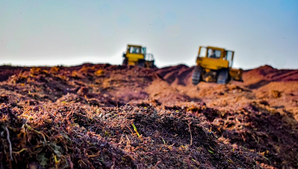 El compost es un sustrato orgánico que toma más o menos ocho meses para su fabricación y la idea es que vuelve a nutrir la tierra. El compost es un sustrato orgánico que toma más o menos ocho meses para su fabricación y la idea es que vuelve a nutrir la tierra.
