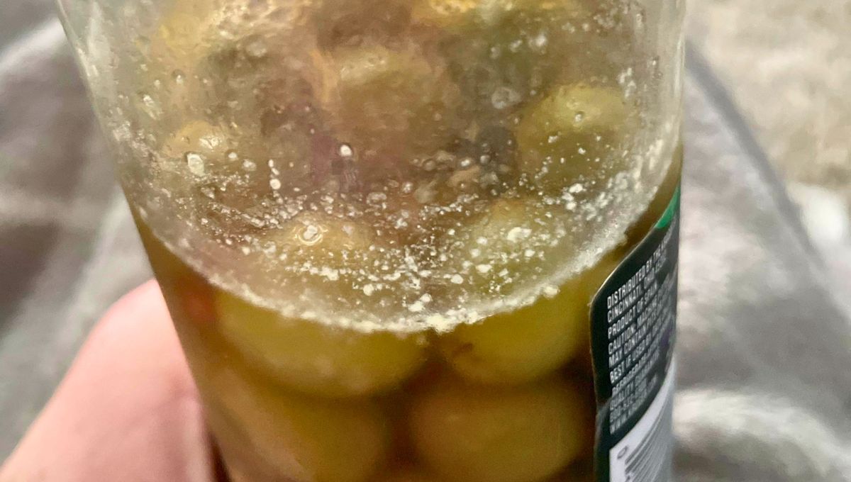 Esta capa se forma por la acción de levaduras que se alimentan del ácido de la salmuera. Esta capa se forma por la acción de levaduras que se alimentan del ácido de la salmuera. 