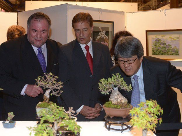 La cultura japonesa al alcance de todos en la Nave Cultural
