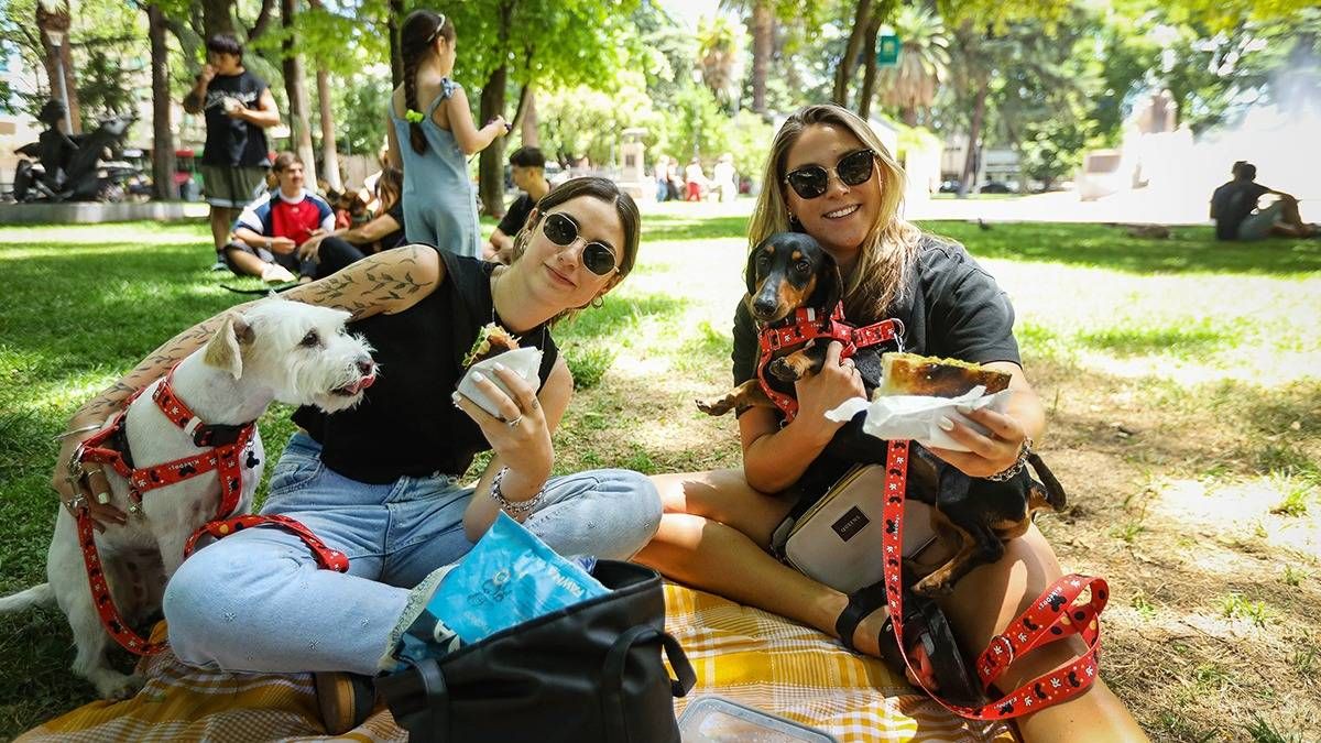 Muy bien acompañadas en Plaza Italia. Muy bien acompañadas en Plaza Italia.