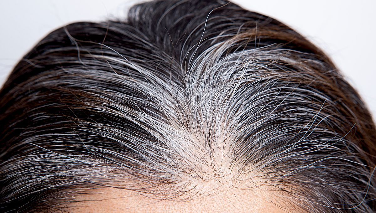 Cubre tus cabello con este líquido de preparación casera y dile adiós a las canas