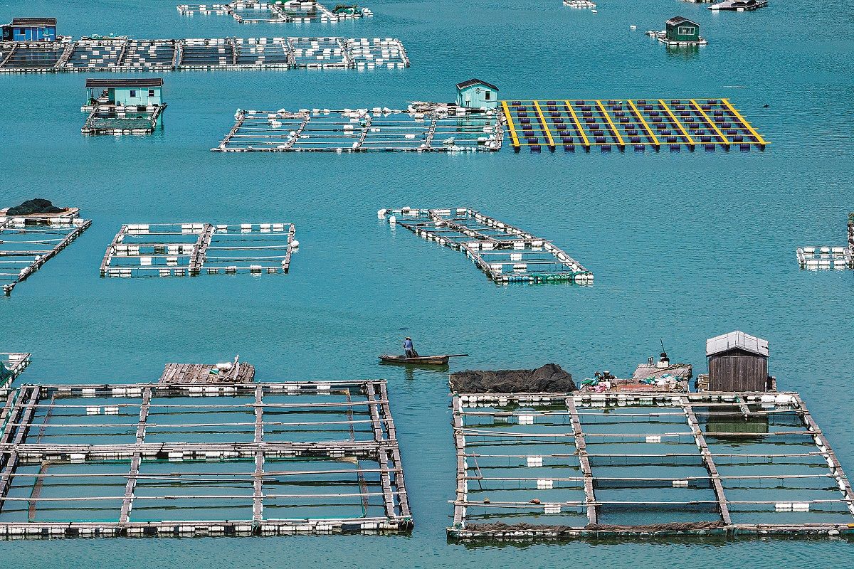 Materiales compuestos ecológicos, como la fibra de carbono, se utilizan para reemplazar los pontones de pesca de madera y espuma en el pueblo de Huangbi’ao, en Xiangshan, provincia de Zhejiang. PARA USO DE CHINA DAILY