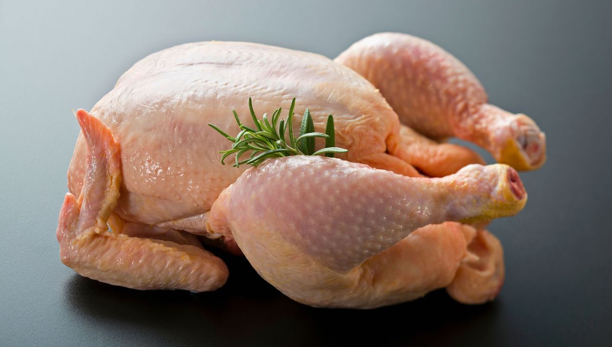 ¿Qué partes del pollo son más saludables y contienen más proteínas?