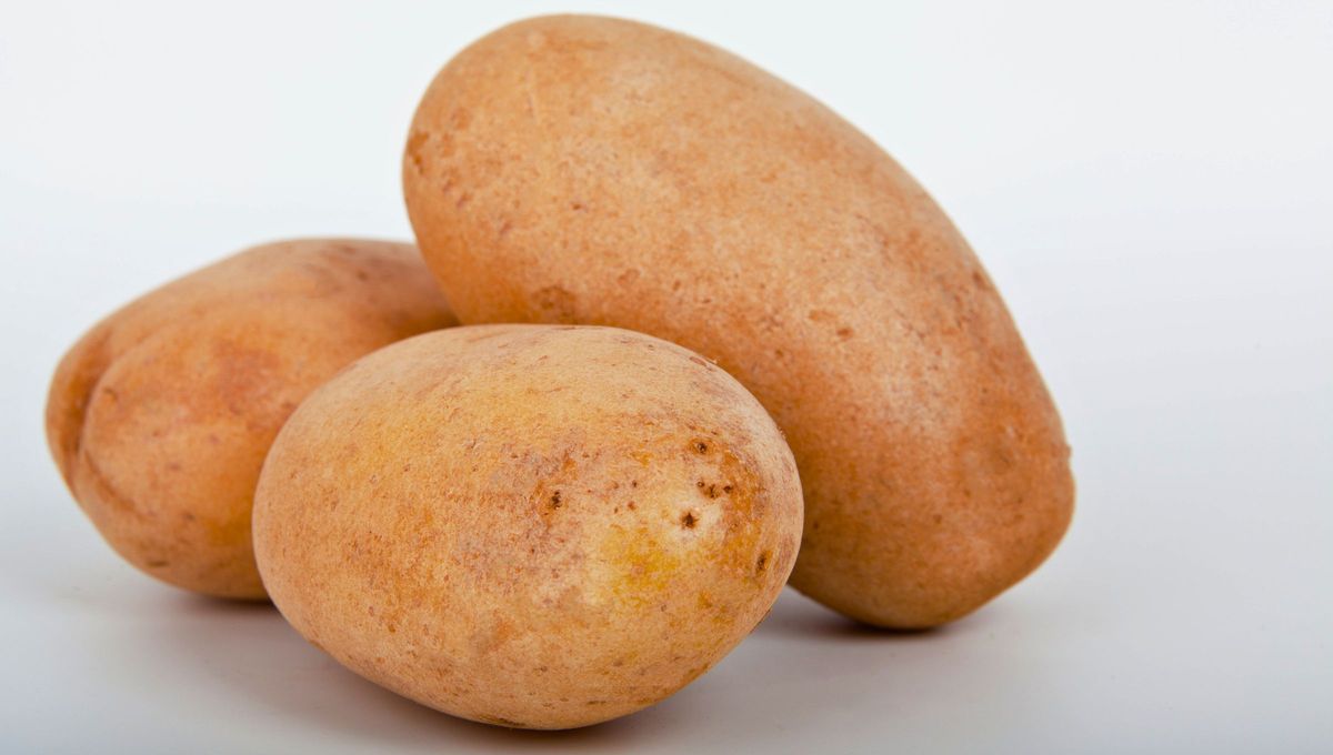 Las papas absorben el etileno de las manzanas y evitan que se pudran en poco tiempo Las papas absorben el etileno de las manzanas y evitan que se pudran en poco tiempo