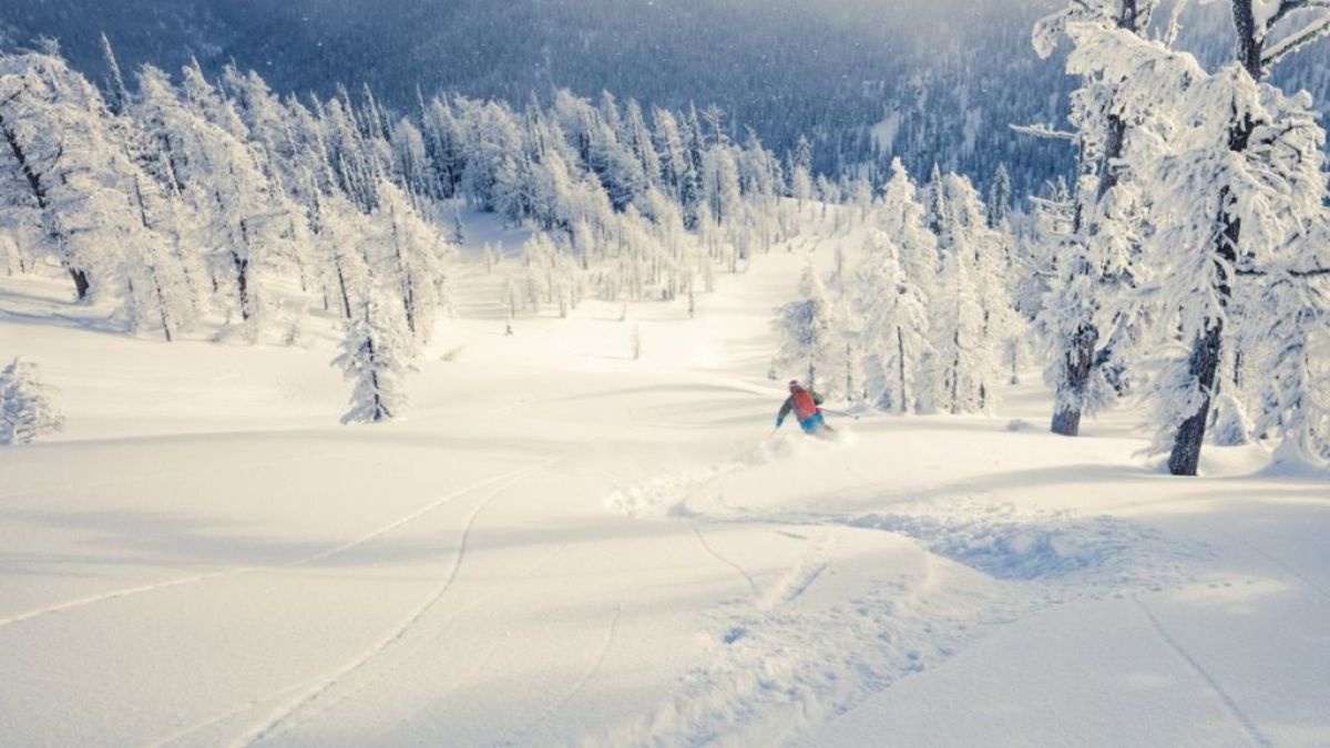 (Foto: Myoko Suginohara) (Foto: Myoko Suginohara)