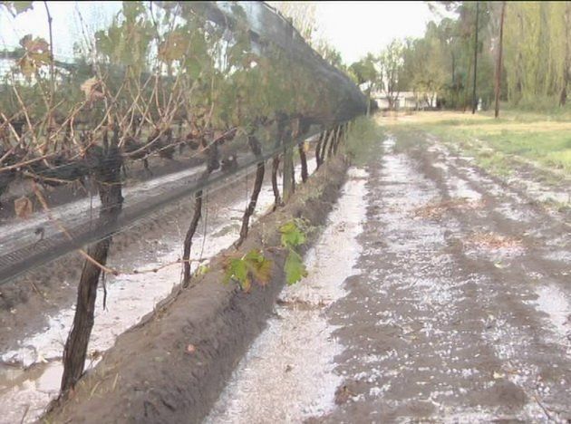 Cayó granizo en varios distritos del departamento