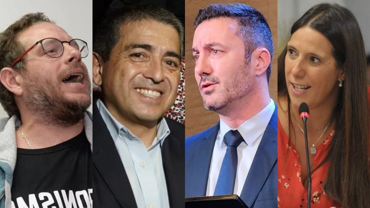 Ilardo, Marcolini, Petri y Uceda, cuatro visiones sobre el DNU de Milei.