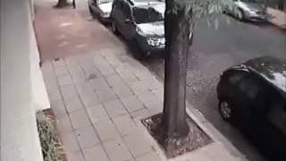 Video: Un camión recolector de residuos destrozó autos estacionados