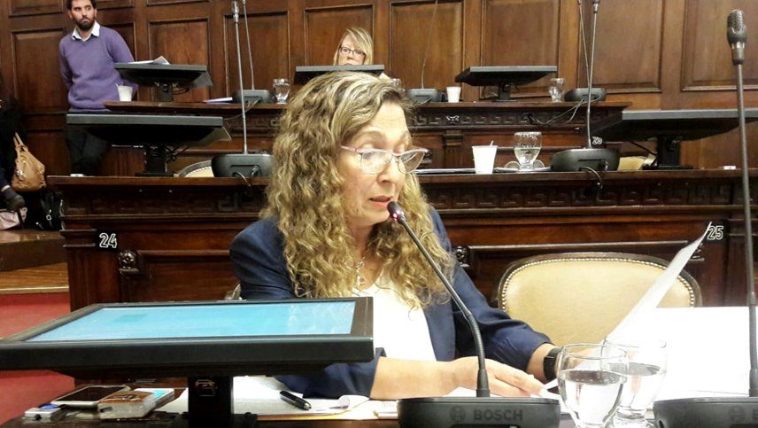 Patricia Fadel denunciará a Macri por tener un testaferro en el Valle de Uco