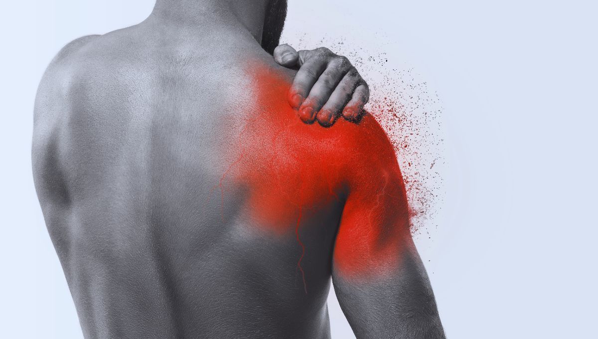 FUENTE CANVA FUENTE CANVA