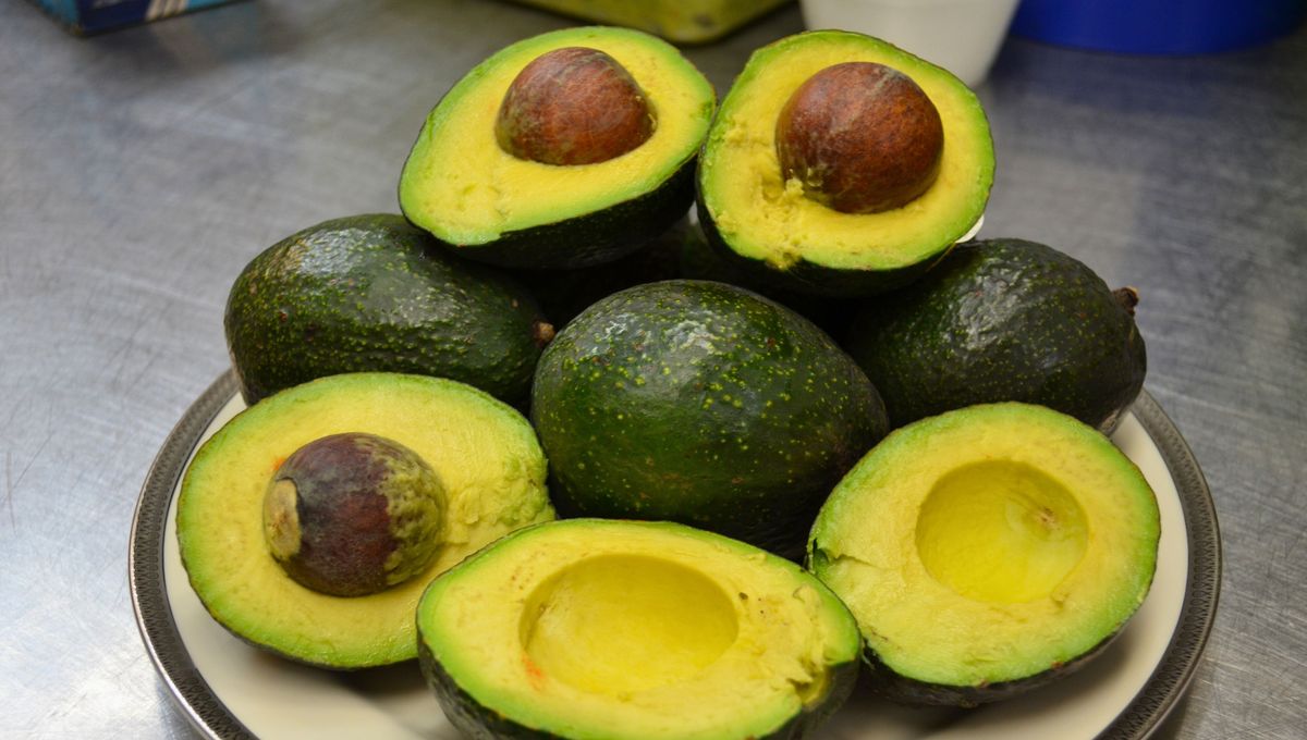 La palta es más rica cuando está madura y tierna La palta es más rica cuando está madura y tierna