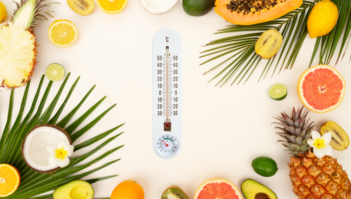 Conoce las 5 frutas que debes comer en días de mucho calor
