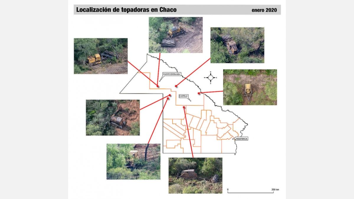 (Foto: Greenpeace) (Foto: Greenpeace)