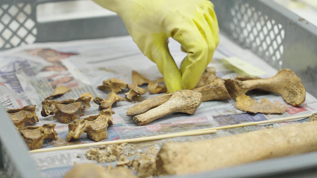 Descubrimiento de cientos de cuerpos bajo una cancha de fútbol tiene en vilo a Europa Descubrimiento de cientos de cuerpos bajo una cancha de fútbol tiene en vilo a Europa