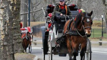 Nueva York propuso prohibir los clásicos carruajes de caballos en la ciudad