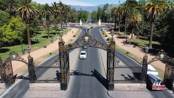 A 80 años de Hiroshima y Nagasaki, en Mendoza hay dos árboles de una especie que sobrevivió a las bombas