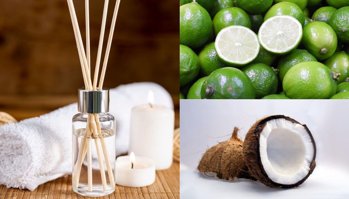 Prepara un aromatizante de lima y coco para tu casa. Imagen: Redacción Diario