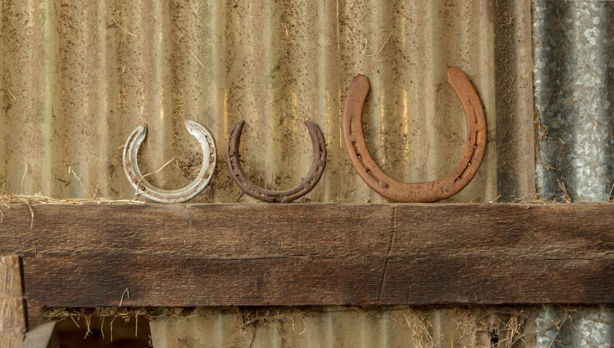 Herradura: ¿por qué debes tener una detrás de la puerta?