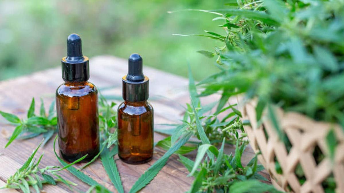 La ley para crear un Registro Provincial de Cannabis va a regular la producción del aceite medicinal