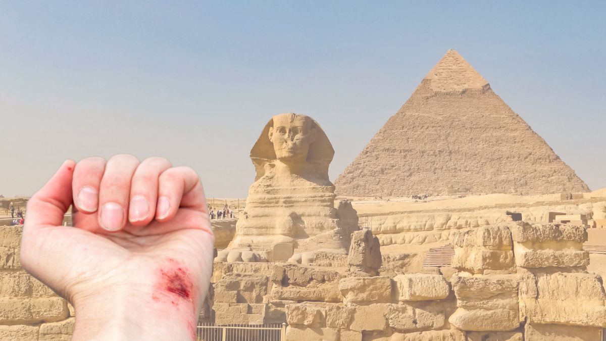 La planta que usaban los egipcios y que sirve para curar las heridas