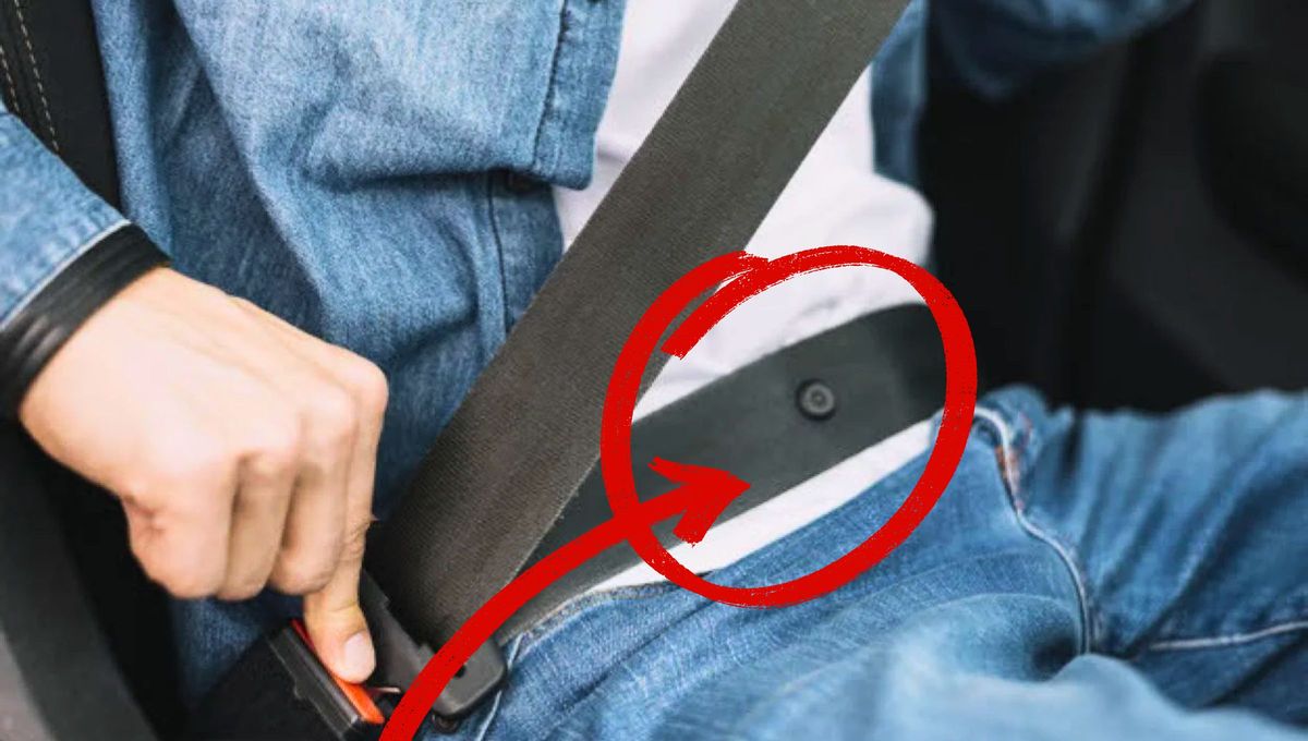 No es un adorno: para qué sirve el botón que tiene el cinturón de seguridad