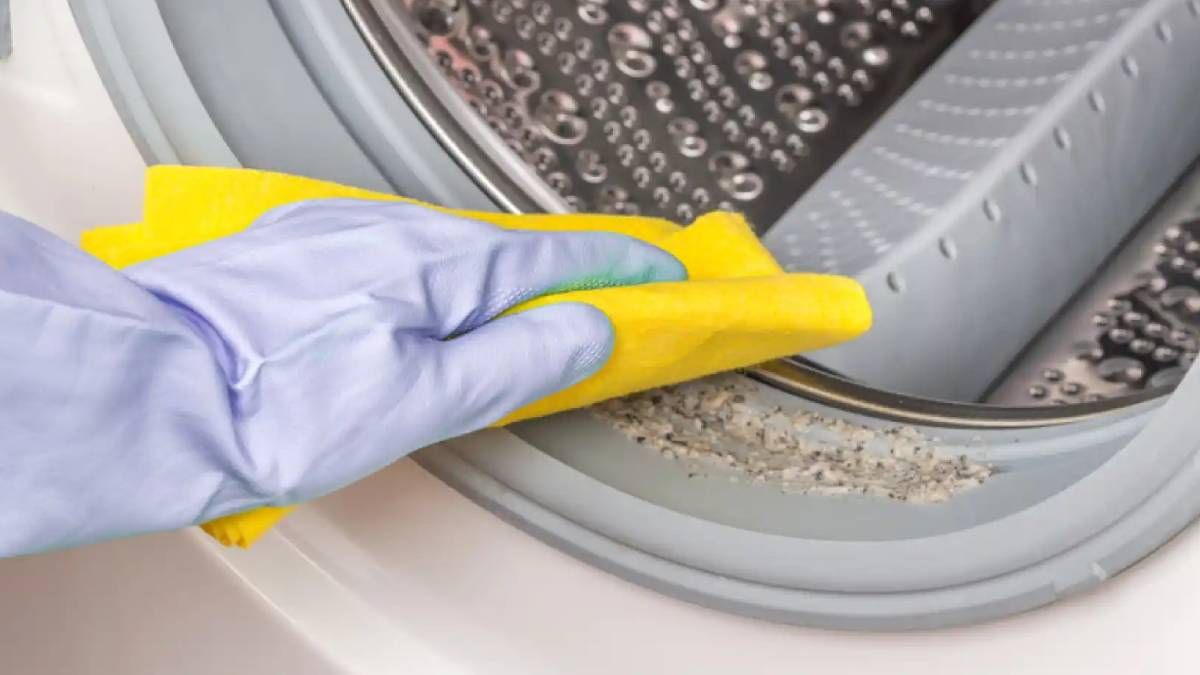 Cómo saber si tu lavarropas necesita de una limpieza profunda con estos simples trucos caseros. Cómo saber si tu lavarropas necesita de una limpieza profunda con estos simples trucos caseros.