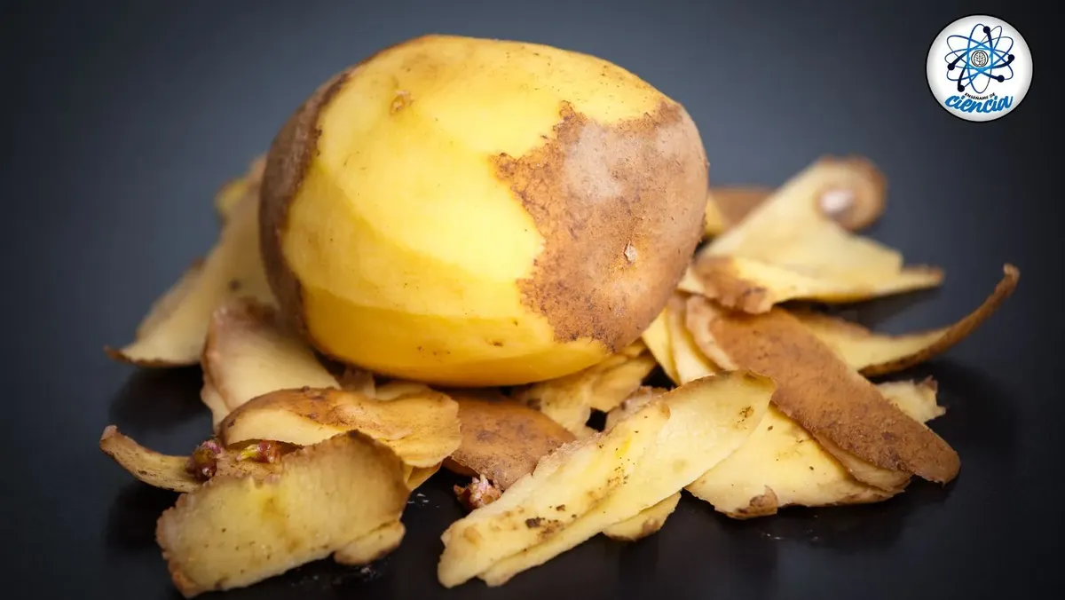 La cáscara de papa puede traer inconvenientes.