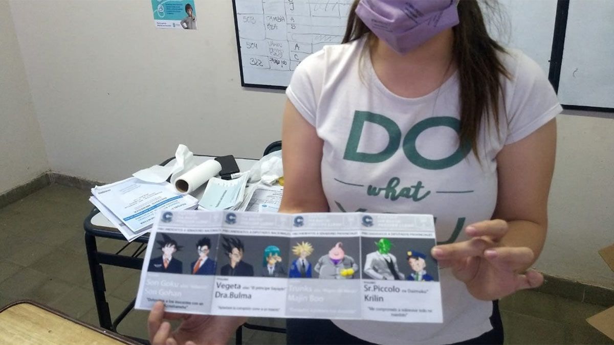 Los votos nulos más delirantes compilados por una mendocina