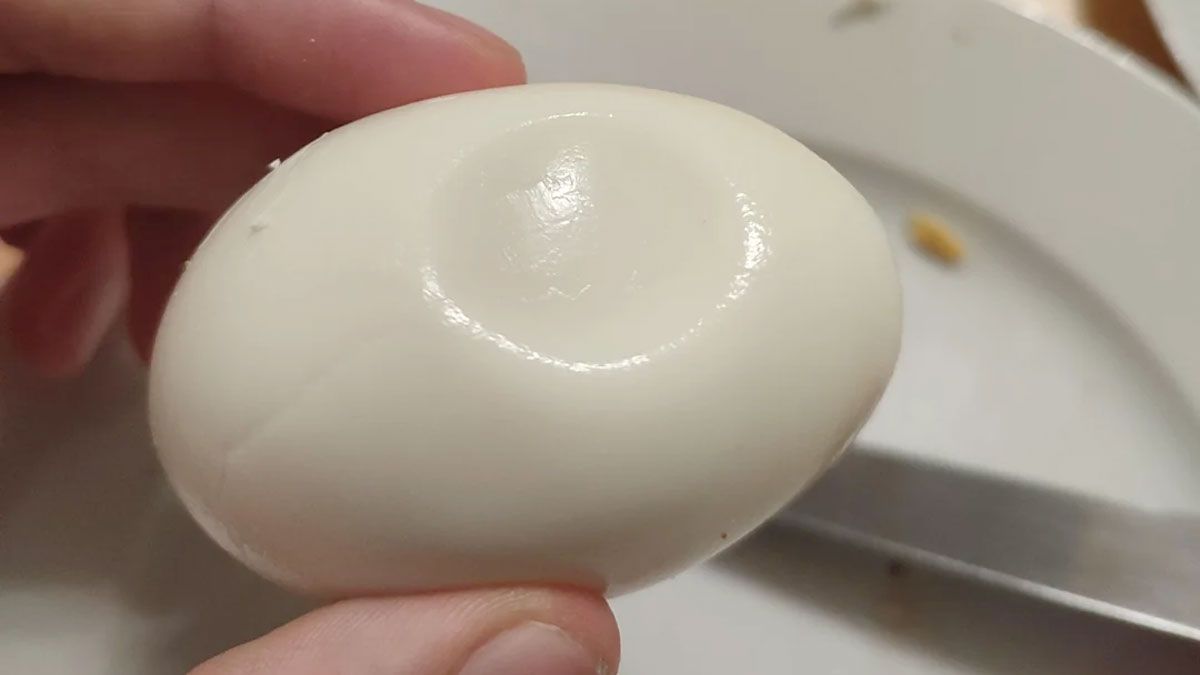 El huevo tiene una cámara de aire que cumple varias funciones.