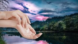 El activo del Amazonas que mejorar la firmeza de la piel