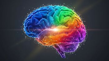 La edad en la que el cerebro alcanza su máximo rendimiento, según un estudio científico La edad en la que el cerebro alcanza su máximo rendimiento, según un estudio científico