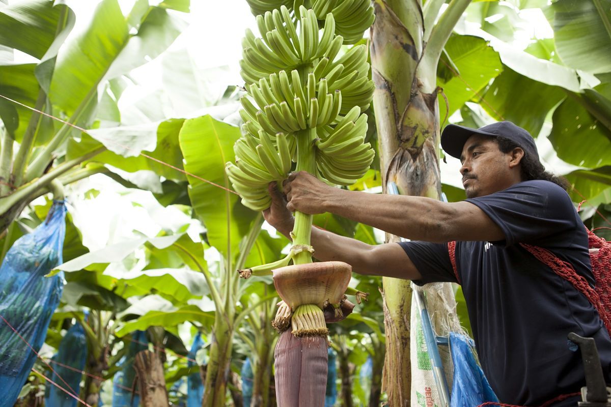 Enorme empresa de Estados Unidos despedirá a todos sus empleados de un país de América Latina
