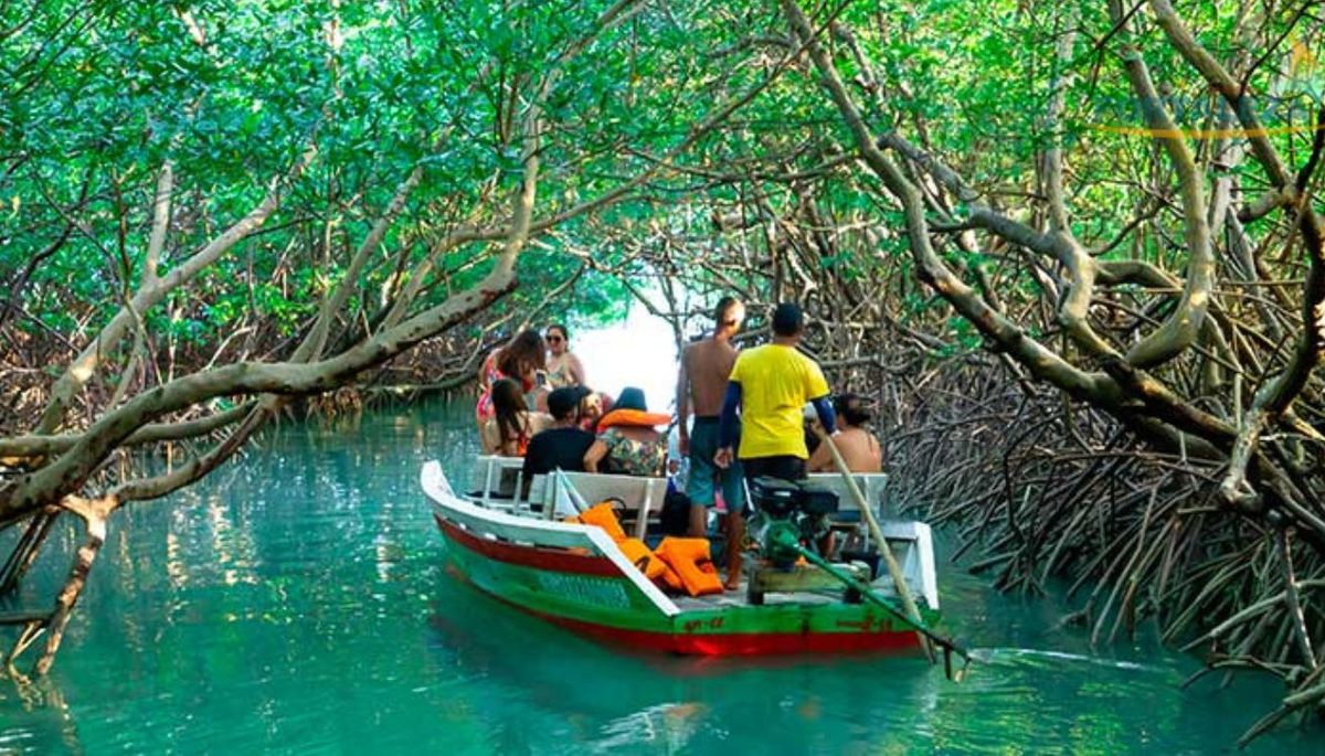 Túnel del Amor en Moitas. Túnel del Amor en Moitas.