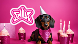 ¡Tuvo su propia fiesta MP3! el video del festejó de cumpleaños de una perrita con temática de Emilia