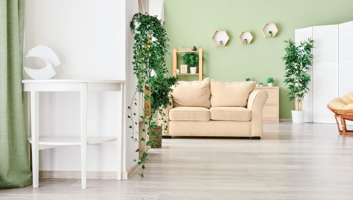 Decoración verde. Decoración verde. 