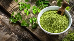 La planta medicinal milagrosa que tiene 15 veces más vitamina C que la naranja.