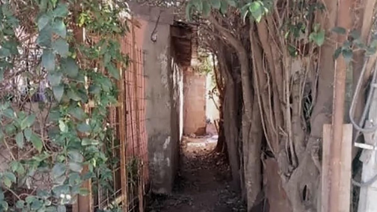 Femicidio: una mujer fue asesinada por su pareja y enterrada en el fondo de una casa, en Pilar. Tenía 39 años y cinco hijos Femicidio: una mujer fue asesinada por su pareja y enterrada en el fondo de una casa, en Pilar. Tenía 39 años y cinco hijos