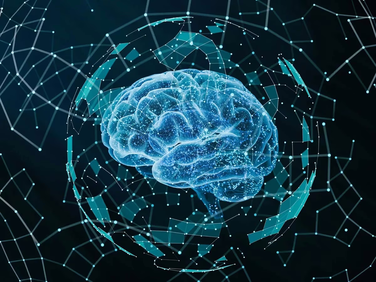 Los beneficios del aburrimiento para el cerebro: ayuda a la creatividad, productividad y aurorreflexión. Los beneficios del aburrimiento para el cerebro: ayuda a la creatividad, productividad y aurorreflexión.