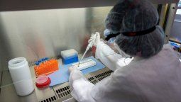 Coronavirus hoy: cuántos casos confirmados y muertos hay en Argentina al 4 de mayo