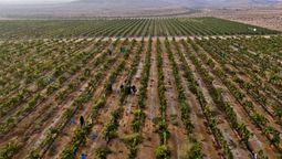 el pais de america latina que milagrosamente produce vino en el desierto mas seco del mundo
