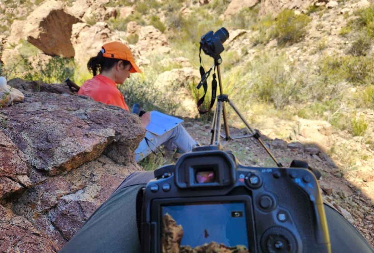 La Dirección de Recursos Naturales Renovables y de la Fundación S.O.S. Acción Salvaje realizan el monitoreo del cóndor andino nacido en Tupungato. La Dirección de Recursos Naturales Renovables y de la Fundación S.O.S. Acción Salvaje realizan el monitoreo del cóndor andino nacido en Tupungato.