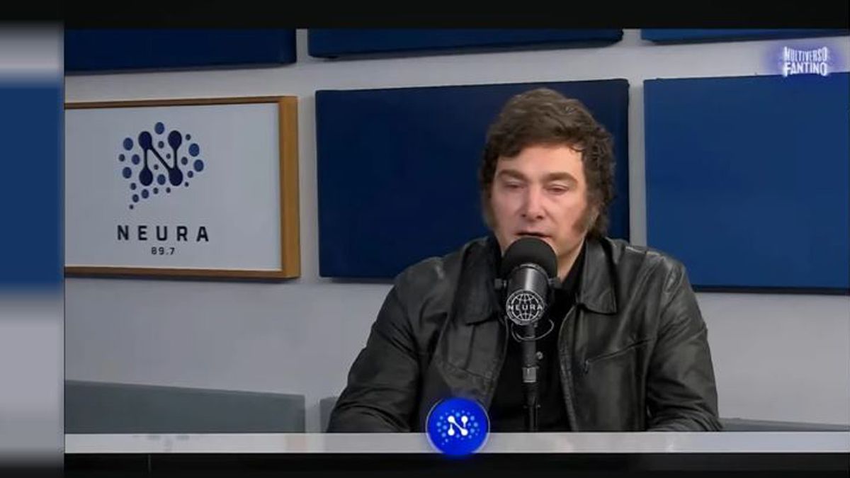 Javier Milei se despegó a medias de Benegas Lynch.