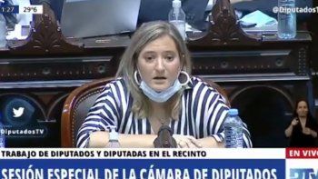 El insólito pedido de una diputada durante el debate por el aborto legal