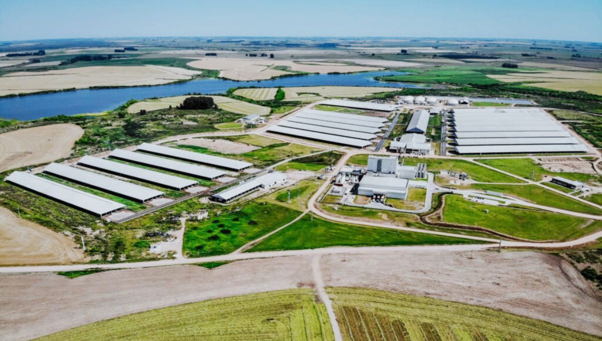 Construyen la planta de energía más innovadora de América Latina: producirá 350.000 galones y será única en el mundo