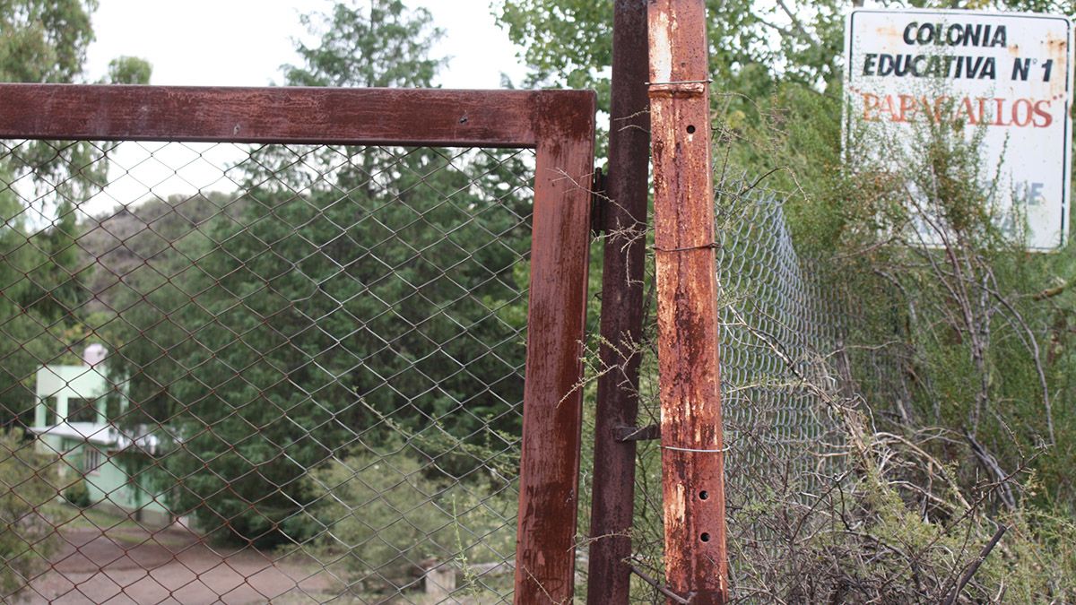 Colonia Papagallos: la vuelta al horror